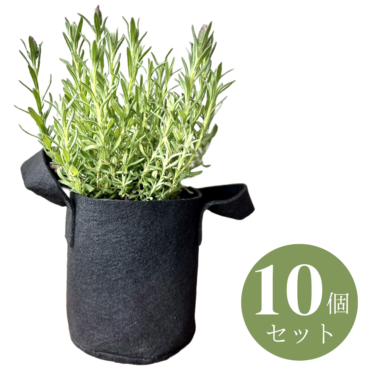フェルト鉢カバー・プランター 5号<br>(15㎝×15㎝）10個セット